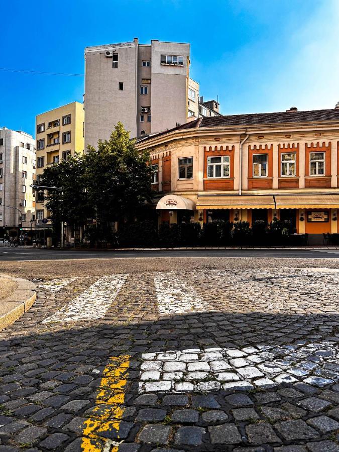 Insta-Apt Old Town Central Park Renovated 贝尔格莱德 外观 照片